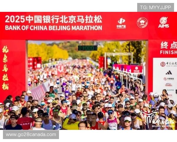 阿布扎比收官战筹备就绪，预计观众人数破纪录